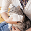 猫用品 ケア用品・消臭・日用品