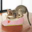 猫用品 爪とぎ