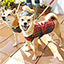 犬用品 ウェア・レインコート