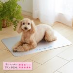 純アルミ製ひんやりプレート