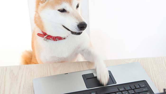 インターネット上の情報に、もうまどわされない!ウソ・ホント?を見分けるためには?